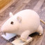 Gosig Ratta Rat White Plush Toy 20cm 7.9inches