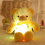 Yellow Glowing Teddy Bear Plush Toy 50cm 16.98inches
