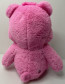 Care Bears Cheer Bear Plush Toy