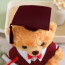 Light Brown Graduation Bear with Robe Soft Stuffed Plush 25cm 9.84inches Blue Black Red