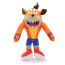 Crash Bandicoot Plush Toy