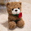 Little Valentines Bear with Rose Plush 17cm 6.7inches