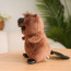 Cute Beaver Soft Stuffed Plush Multiple Sizes