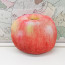 Realistic Fruit Plush Pillow 40cm 15.74inches Red Apple