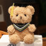 Fluffy Graduation Bear with Congrats Scarf Soft Stuffed Plush 23cm 9 inches Yellow Blue Pink Red