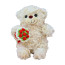 Valentines Bear Plush With Red Bouquet 20cm 7.8inches