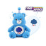 Care Bears Grumpy Bear Birthday Plush Toy