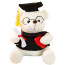 Graduation Bear Soft Stuffed Plush White