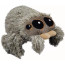 Lucas the Spider Plush 16cm