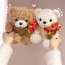 Little Valentines Bear with Rose Bouquet Plush 17cm 6.7inches