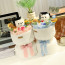Graduation Bear Plush Bouquet 40cm 15.75inches Pink Blue