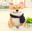 Large Shiba Dog Plush 25cm
