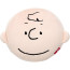 Charlie Brown From Snoopy Plush Toy