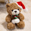 Little Christmas Bear Plush 17cm 6.7inches