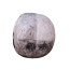The Moon Woke Up Plush Toy 15cm 5.9inches