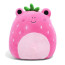 Squishmallows Adabelle The Strawberry Frog Box Lunch Exclusive Plush Toy 20cm 7.87inches