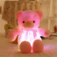 Pink Glowing Teddy Bear Plush Toy 50cm 16.98inches