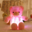 Pink Glowing Teddy Bear Plush Toy 30cm 11.8inches