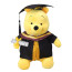 Winnie The Pooh Graduation Soft Stuffed Plush 30cm 11.81inches