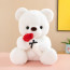 Valentines Rose Bear Plush Multiple Sizes