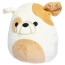Squishmallows Brock the Bulldog 12 Inches Plush Toy