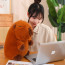 Brown Capybara Plush Toy 25cm 9.8inches
