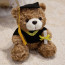 Little Graduation Bear Plush 17cm 6.7inches