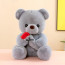 Valentines Rose Bear Plush Multiple Sizes