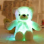 White Glowing Teddy Bear Plush Toy 30cm 11.8inches
