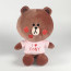 Line Friends Brown Seated Plush Toy