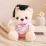 Light Brown Graduation Bear in Medical Doctor Robe Soft Stuffed Plush 23cm 9 inches Pink Green
