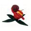 Roblox Plants vs Brainrots Cranberrlito Plush Toy 28cm 11inches