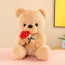 Valentines Rose Bear Plush Multiple Sizes