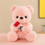 Valentines Rose Bear Plush Multiple Sizes