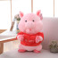 Valentines Te Amo Love Heart Pig Plush Multiple Sizes