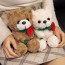 Little Valentines Bear with Rose Plush 17cm 6.7inches
