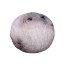 The Moon Woke Up Plush Toy 15cm 5.9inches