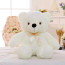 White Glowing Teddy Bear Plush Toy 30cm 11.8inches