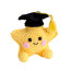 Graduation Star Cute Plush Toy 8cm 3.1inches