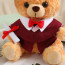 Light Brown Graduation Bear with Robe Soft Stuffed Plush 25cm 9.84inches Blue Black Red