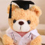 White Graduation Bear in Medical Doctor Robe Soft Stuffed Plush 23cm 9 inches Pink Green