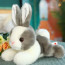 Grey And White Rabbit Plush Toy 22cm 8.7inches