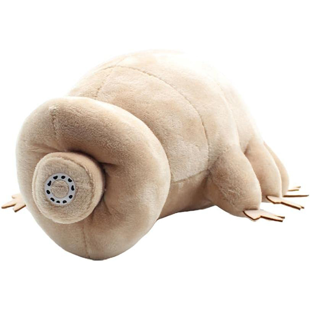 Tardigrade From Plush Toy