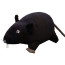Gosig Ratta Rat Black Plush Toy 20cm 7.9inches