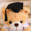 White Graduation Bear in Medical Doctor Robe Soft Stuffed Plush 23cm 9 inches Pink Green