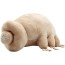 Tardigrade From Plush Toy
