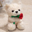 Little Valentines Bear with Rose Plush 17cm 6.7inches