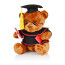 Graduation Bear Soft Stuffed Plush Dark Brown