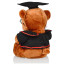 Graduation Bear Soft Stuffed Plush Dark Brown