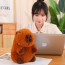 Brown Capybara Plush Toy 25cm 9.8inches